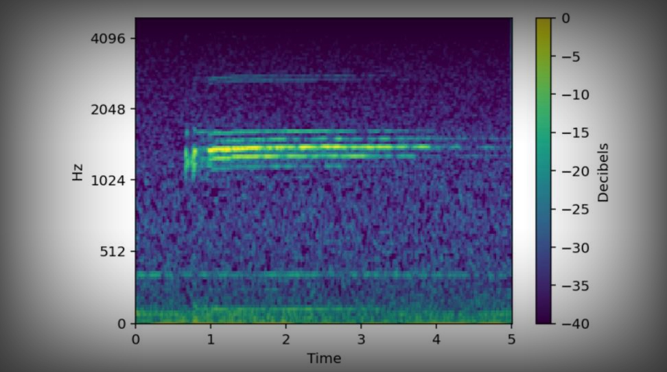 谷歌发布先进鲸鱼声音识别AI模型，助力海洋科学研究